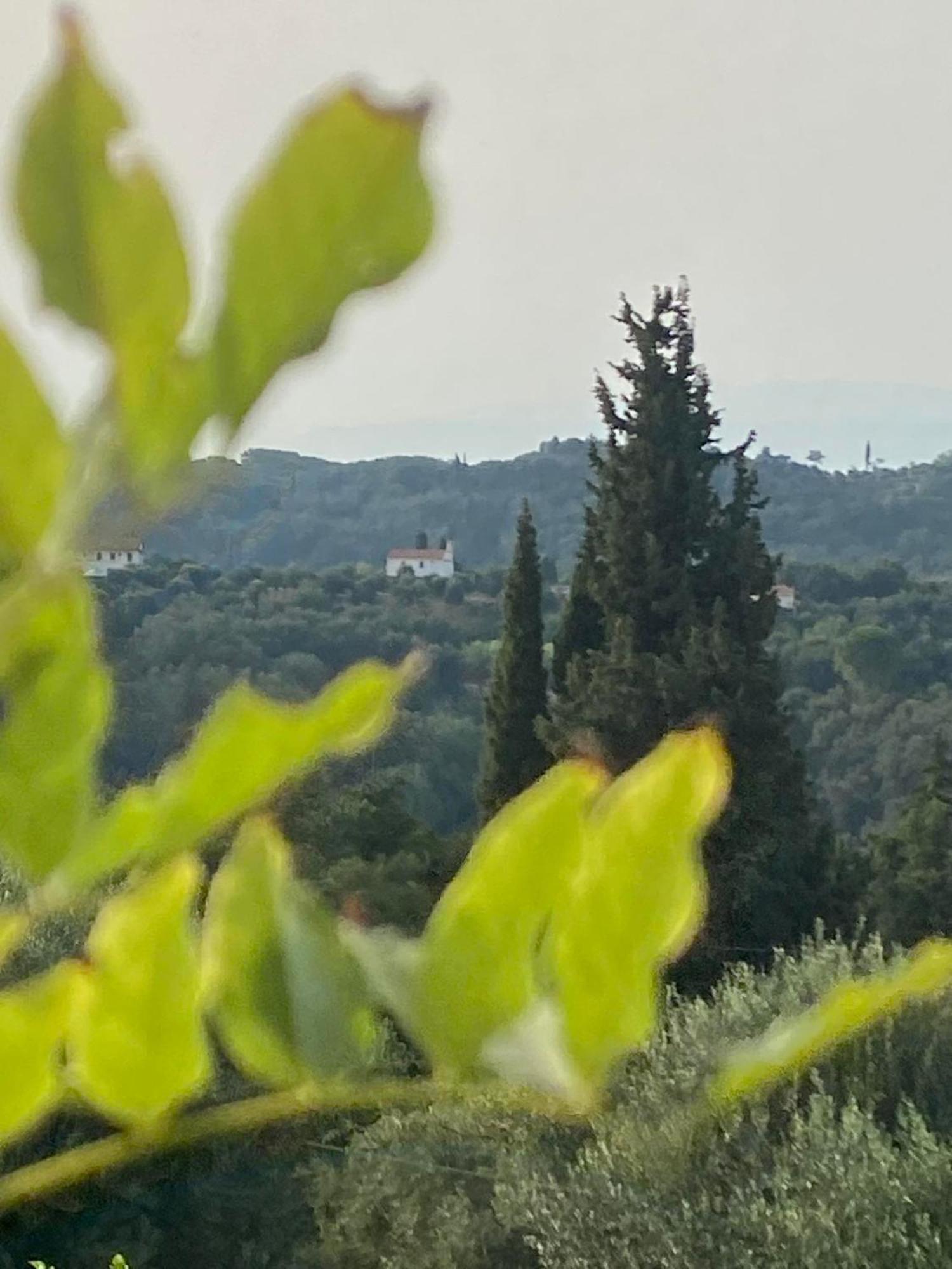 Dinateli Houses - Live Like A Local In Corfu Kastellanoi  Exterior photo